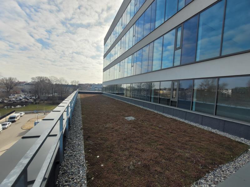 zielony dach nowego budynku SPSK 1 (fot. A.Guzowska)